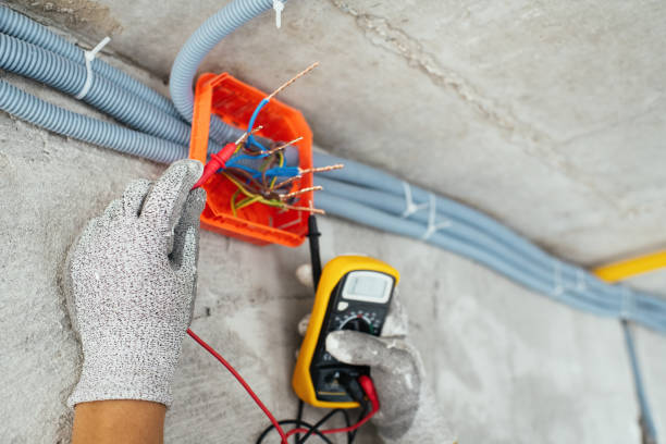 Best Electric Panel Repair  in Dayton, TX